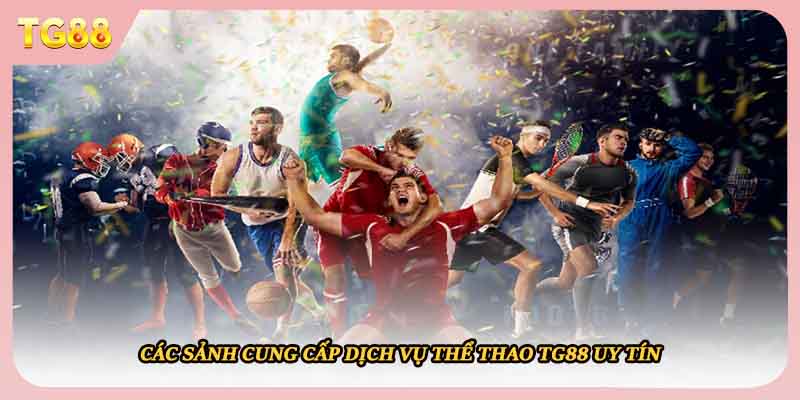 Các sảnh cung cấp dịch vụ thể thao TG88 uy tín