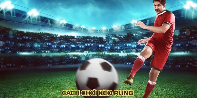 Cách Chơi Kèo Rung: Top 1 Cách Nên Biết Cho Người Mới