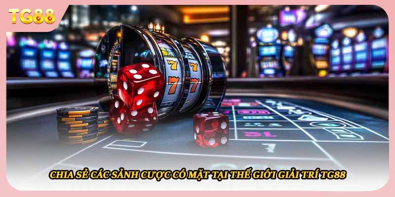Chia sẻ các sảnh cược có mặt tại điểm đến giải trí TG88