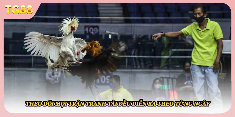 Theo dõi mọi trận tranh tài đều diễn ra theo từng ngày